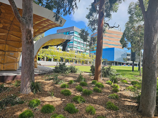 Monash University Caulfield Campus Gallery - Australia