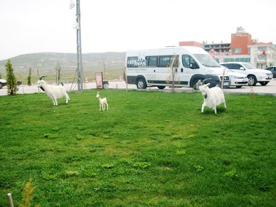 Photos of Hattusa Vacation Thermal Club Ankara