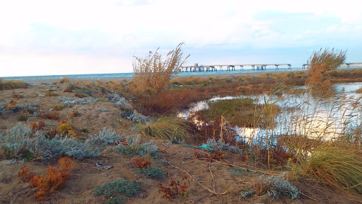 Area S.I.C. Dune dell'Angitola - Thumbnail