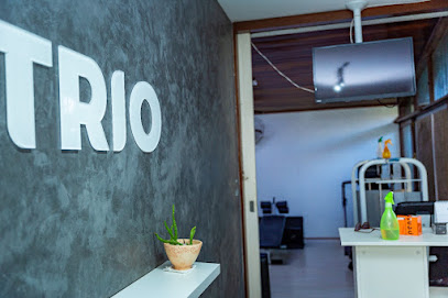 Studio Trio Personal