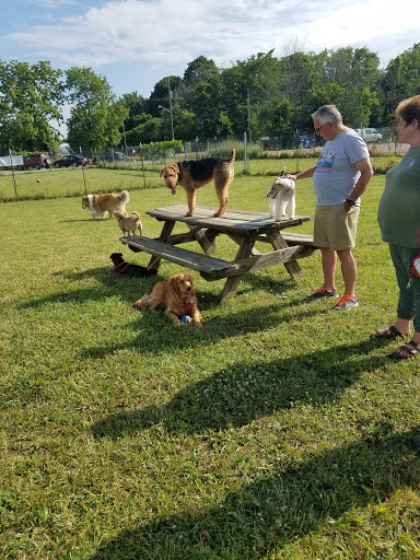 South Haven Dog Park - Thumbnail