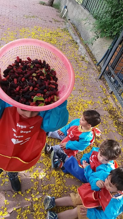 Çocuğun Doğası Anaokulu Ve Gündüz Bakimevi