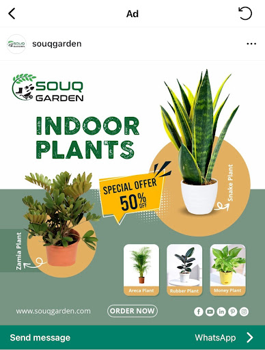 Review us on google … and get a plant free post image