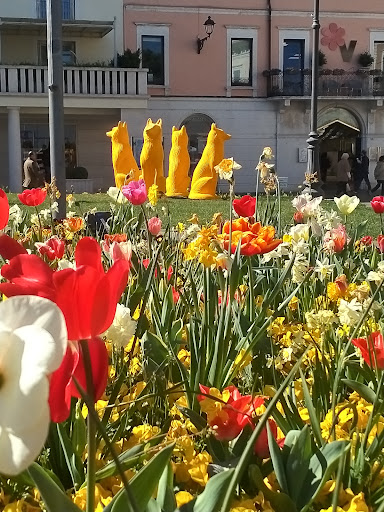 Piazza Malvezzi - Visual
