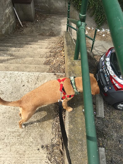 Diamond Hill Steps