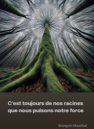 Photo n°17 de Alissa Pennanec’h - Psychopraticienne - Lessenciel en Soi à La Frette-sur-Seine (Praticien de médecine alternative)