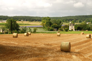 Photo n°8 de Lavau à Fontaine-Guérin (Agence de location de maisons de vacances)