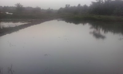 Photos of Port de Kawas
