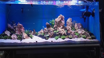 Photos of Tetra Aqua