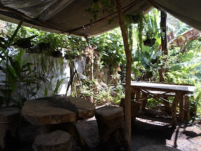 Photos of "Floresta" Ecological Park
