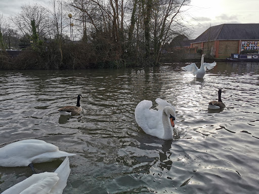 Rickmansworth Recycling Centre - Thumbnail