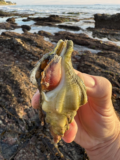 Bates Beach - Thumbnail