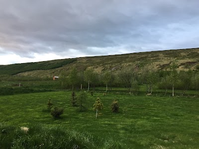 Photos of Lifsmotun camping