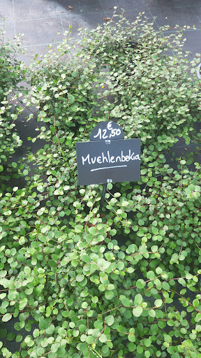 Les Jardins Du Nahon - Thumbnail