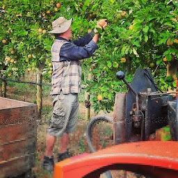 Photo n°10 de VERGERS LASSERRE à Lahontan (Agriculteur)