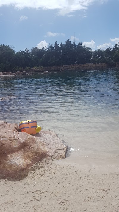 Photos of Discovery Cove