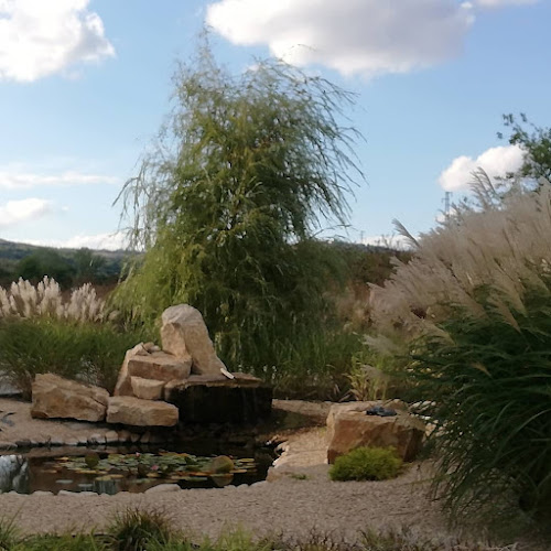 Comentarii opinii despre ЕРИКА озеленяване