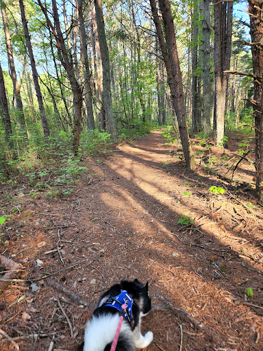 East Lakeshore Trail Mizell Trailhead