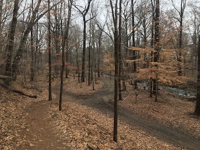 Brandywine Springs Park