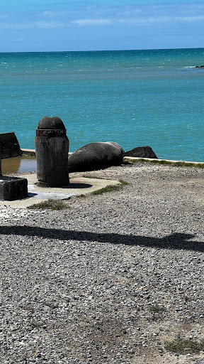 Holmes Wharf Gallery - New Zealand
