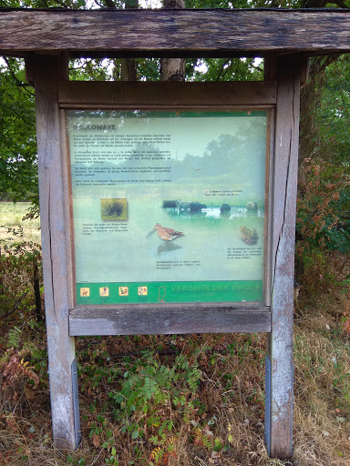 Rundweg Versmolder Bruch Station 6 - Thumbnail