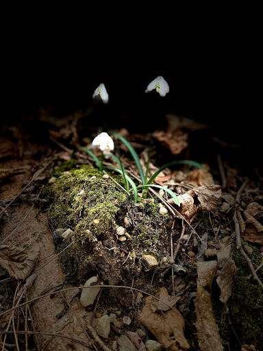 Costruzioni Vidoni Srl Gallery - Italy