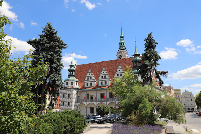 Ratusz w Brzegu