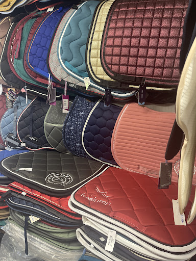 Sellerie GZ - Thumbnail