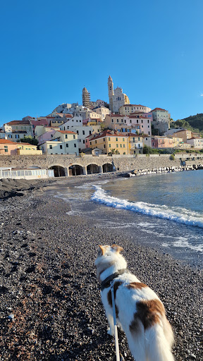 Al Pilone - Visual