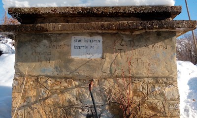 Photos of Şehid Astsubay &Ccedil;eşmesi