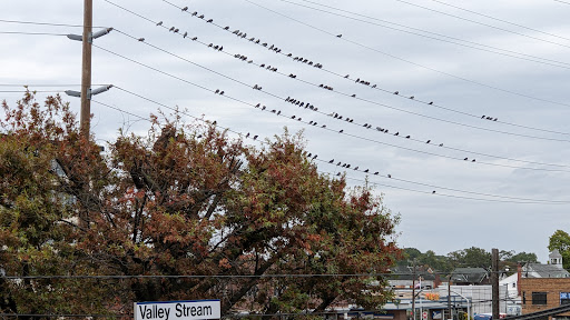 Valley Stream LIRR Sta. - Thumbnail
