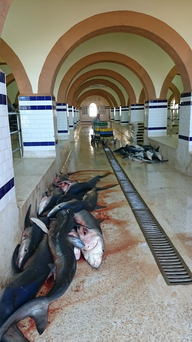 Halls aux Poissons