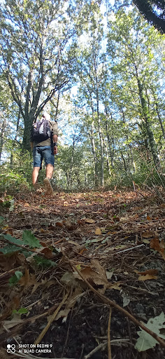 Sentiero natura per Monte Cornacchia - Thumbnail