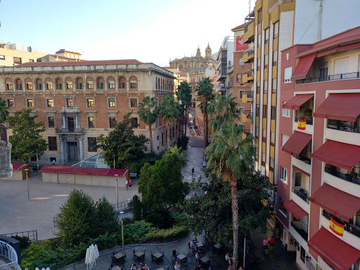 Agencia Inmobiliaria APISUR JAÉN Logo