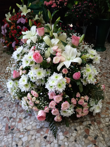 Fiori Salemi Gaetano - Servizio Interflora - Thumbnail