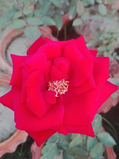 Photos of বৈদ্য বাড়ী