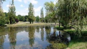 Photo n°70 de Camping du Lac de Parisot ** à Parisot (Appartement de vacances)