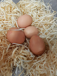 Photo n°15 de le panier noaillerot à Noailly (Épicerie)