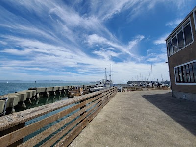 Sea Lion Viewing Area