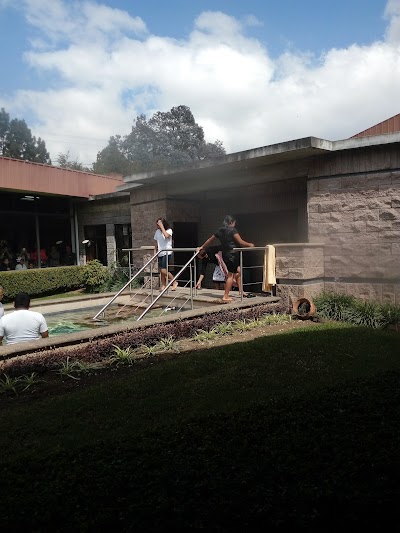 Photos of CEMACO