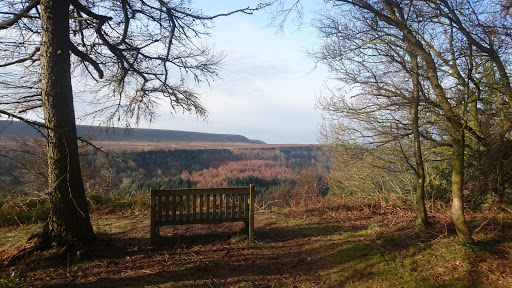 NEWTONDALE HALT - Thumbnail