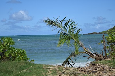 Kualoa Regional Park