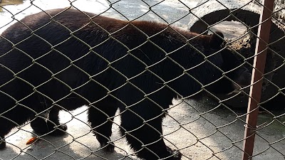 Photos of Banbatika Zoo