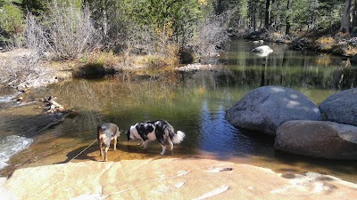 Stanislaus River Campground