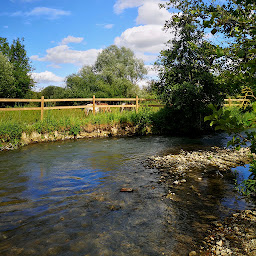 Photo n°3 de Poney-Club Du Moulin - Association Ponemotion à Saint-Philbert-sur-Risle (Centre équestre)