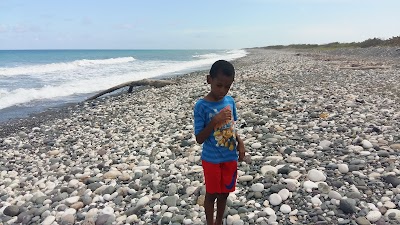 Photos of Great Pond of Yallahs