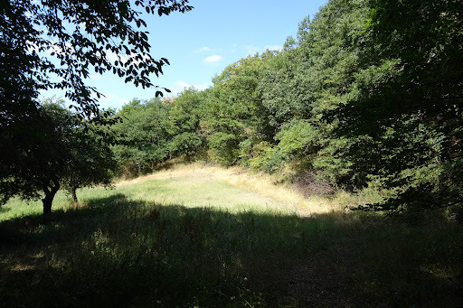 Wolfsschlucht (Ende) - Thumbnail