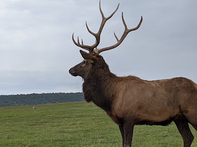 Lake Tobias Wildlife Park