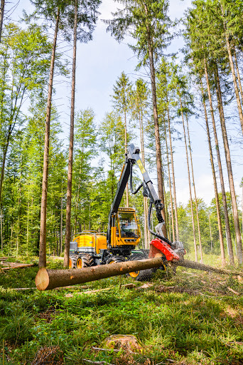 Broß Holz GmbH&Co.KG