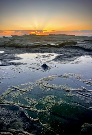 Shelly's beach - Visual